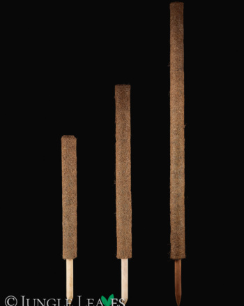 Coir Stick